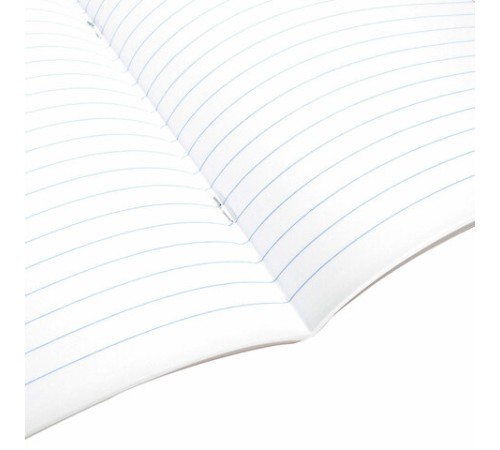 Тетрадь предметная 