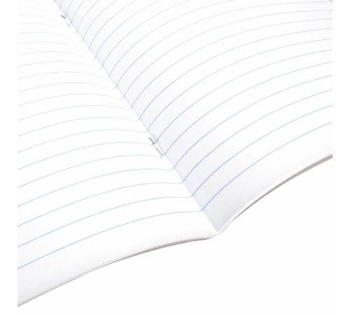 Тетрадь предметная 