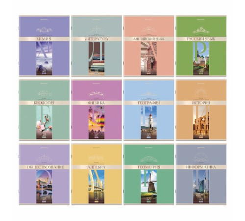 Тетради предметные, КОМПЛЕКТ 12 ПРЕДМЕТОВ, 48 л., обложка картон, BRAUBERG, 