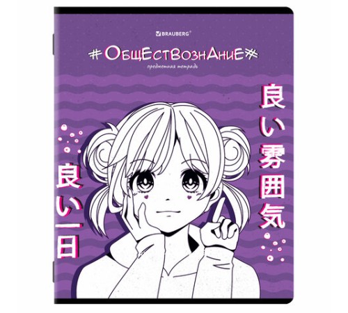 Тетради предметные, КОМПЛЕКТ 12 ПРЕДМЕТОВ, 48 л., глянцевый УФ-лак, BRAUBERG, 