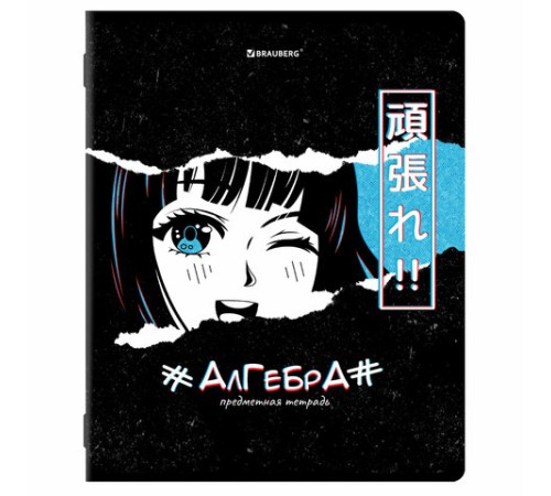 Тетради предметные, КОМПЛЕКТ 12 ПРЕДМЕТОВ, 48 л., глянцевый УФ-лак, BRAUBERG, 