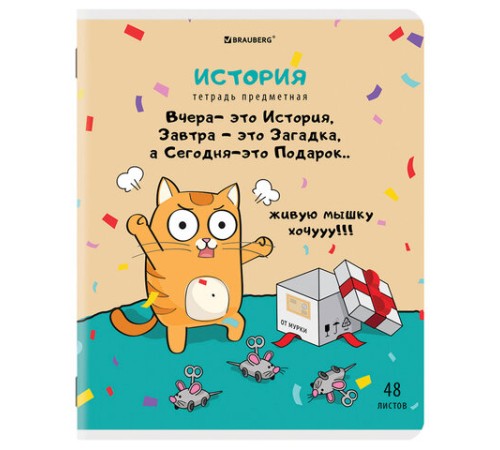 Тетради предметные, КОМПЛЕКТ 12 ПРЕДМЕТОВ, 48 л., TWIN-лак, BRAUBERG, 