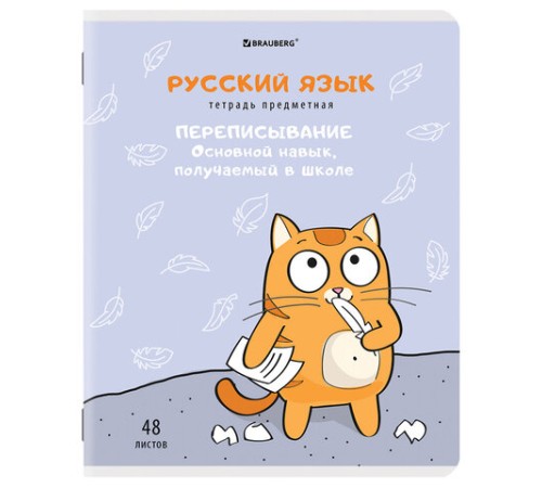 Тетради предметные, КОМПЛЕКТ 12 ПРЕДМЕТОВ, 48 л., TWIN-лак, BRAUBERG, 