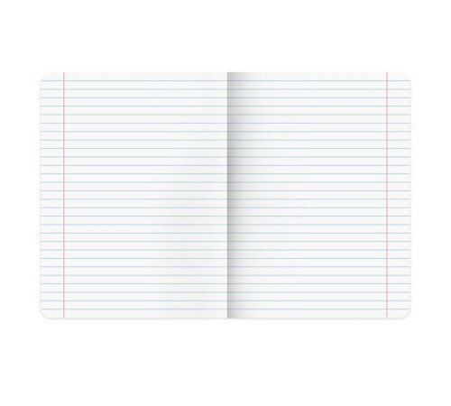 Тетради предметные, КОМПЛЕКТ 12 ПРЕДМЕТОВ, 48 л., TWIN-лак, BRAUBERG, 