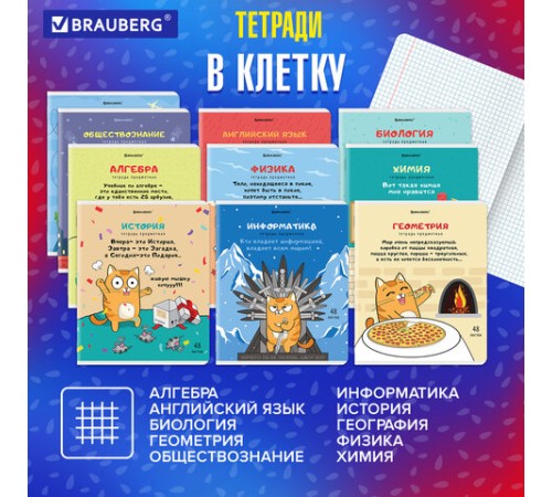 Тетради предметные, КОМПЛЕКТ 12 ПРЕДМЕТОВ, 48 л., TWIN-лак, BRAUBERG, 