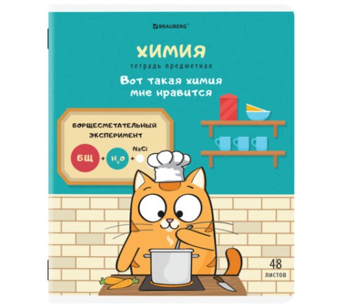 Тетради предметные, КОМПЛЕКТ 12 ПРЕДМЕТОВ, 48 л., TWIN-лак, BRAUBERG, 