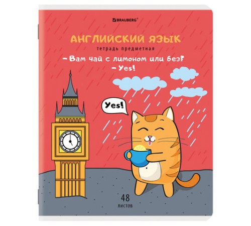 Тетради предметные, КОМПЛЕКТ 12 ПРЕДМЕТОВ, 48 л., TWIN-лак, BRAUBERG, 