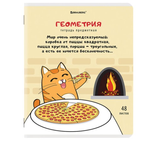 Тетради предметные, КОМПЛЕКТ 12 ПРЕДМЕТОВ, 48 л., TWIN-лак, BRAUBERG, 