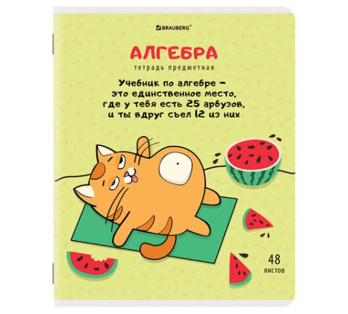 Тетради предметные, КОМПЛЕКТ 12 ПРЕДМЕТОВ, 48 л., TWIN-лак, BRAUBERG, 