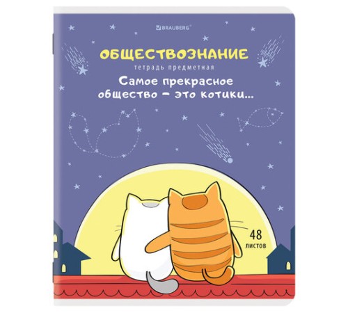 Тетради предметные, КОМПЛЕКТ 12 ПРЕДМЕТОВ, 48 л., TWIN-лак, BRAUBERG, 