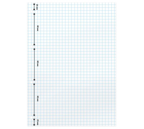 Сменный блок для тетради на кольцах А5, 160 л., BRAUBERG, 