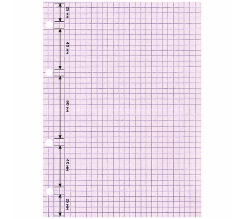 Сменный блок для тетради на кольцах, А5, 120 л., BRAUBERG, 4 цвета по 30 листов, 404614