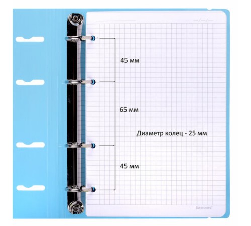 Тетрадь на кольцах А5 175х220 мм, 120 л., пластик, с резинкой, BRAUBERG, Синий, 404617