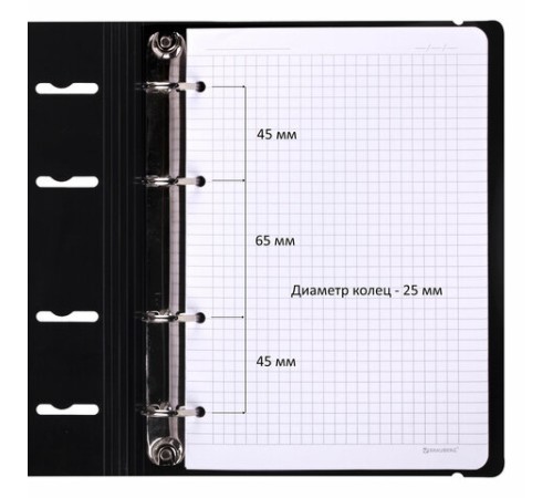 Тетрадь на кольцах А5 175х220 мм, 120 л., пластик, с резинкой, BRAUBERG, Черный, 404618