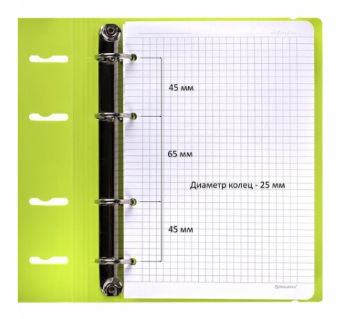 Тетрадь на кольцах А5 175х220 мм, 120 л., пластик, с резинкой, BRAUBERG, Салатовый, 404619