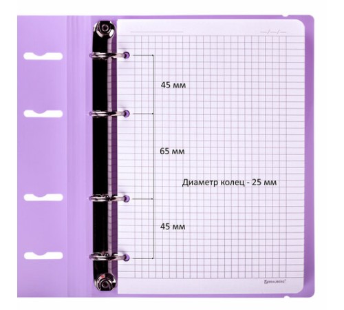 Тетрадь на кольцах А5 175х220 мм, 120 л., пластик, с резинкой, BRAUBERG, Сиреневый, 404620