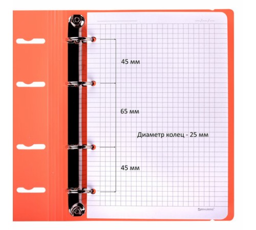 Тетрадь на кольцах А5 175х220 мм, 120 л., пластик, с резинкой, BRAUBERG, Коралловый, 404621