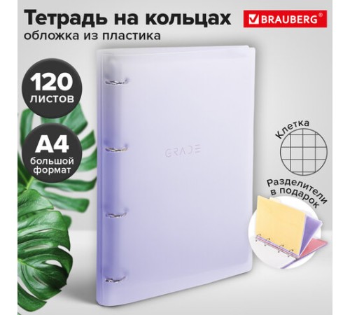 Тетрадь на кольцах БОЛЬШАЯ 305х235 мм А4, 120 л., пластик, с разделителями, BRAUBERG, Фиолетовый, 404623
