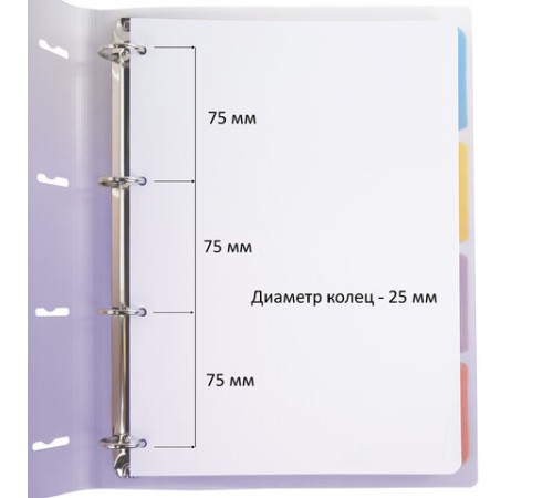 Тетрадь на кольцах БОЛЬШАЯ 305х235 мм А4, 120 л., пластик, с разделителями, BRAUBERG, Фиолетовый, 404623