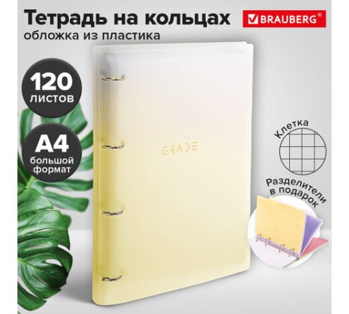 Тетрадь на кольцах БОЛЬШАЯ 305х235 мм А4, 120 л., пластик, с разделителями, BRAUBERG, Желтый, 404624