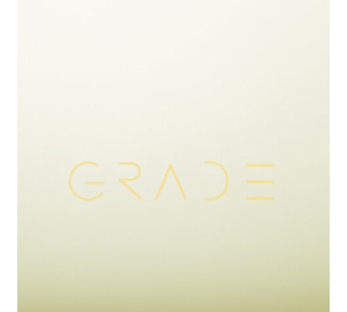 Тетрадь на кольцах БОЛЬШАЯ 305х235 мм А4, 120 л., пластик, с разделителями, BRAUBERG, Желтый, 404624