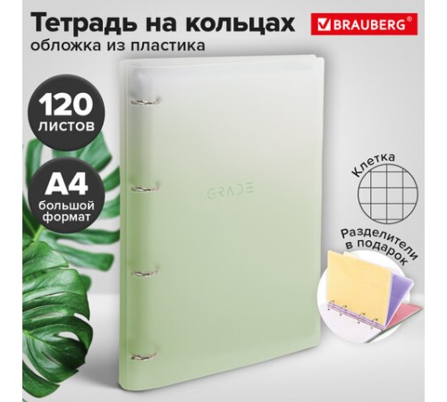 Тетрадь на кольцах БОЛЬШАЯ 305х235 мм А4, 120 л., пластик, с разделителями, BRAUBERG, Зеленый, 404625