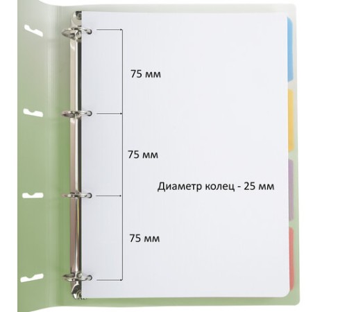 Тетрадь на кольцах БОЛЬШАЯ 305х235 мм А4, 120 л., пластик, с разделителями, BRAUBERG, Зеленый, 404625