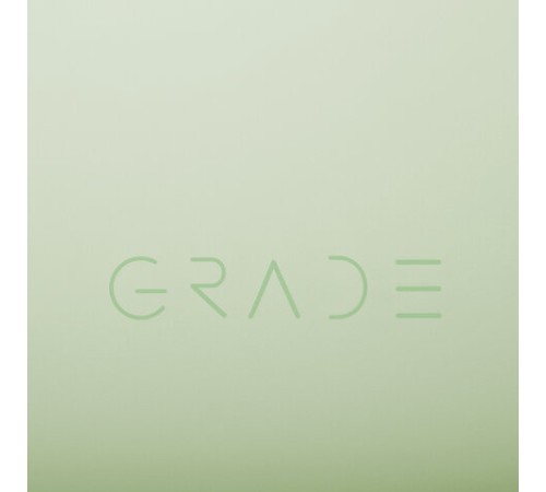 Тетрадь на кольцах БОЛЬШАЯ 305х235 мм А4, 120 л., пластик, с разделителями, BRAUBERG, Зеленый, 404625