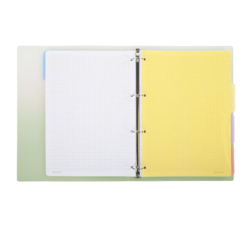 Тетрадь на кольцах БОЛЬШАЯ 305х235 мм А4, 120 л., пластик, с разделителями, BRAUBERG, Зеленый, 404625