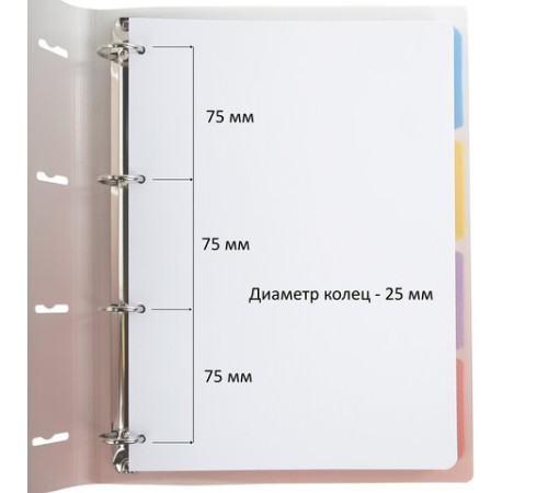 Тетрадь на кольцах БОЛЬШАЯ 305х235 мм А4, 120 л., пластик, с разделителями, BRAUBERG, Красный, 404626