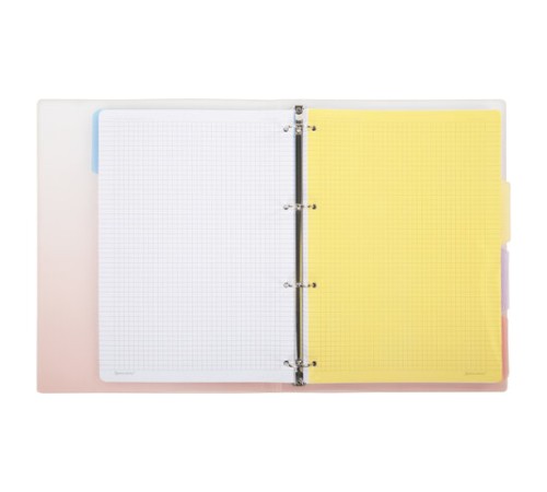 Тетрадь на кольцах БОЛЬШАЯ 305х235 мм А4, 120 л., пластик, с разделителями, BRAUBERG, Красный, 404626