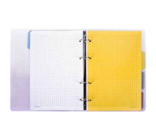 Тетрадь на кольцах А5 175х220 мм, 120 л., пластик, с разделителями, BRAUBERG, Фиолетовый, 404627