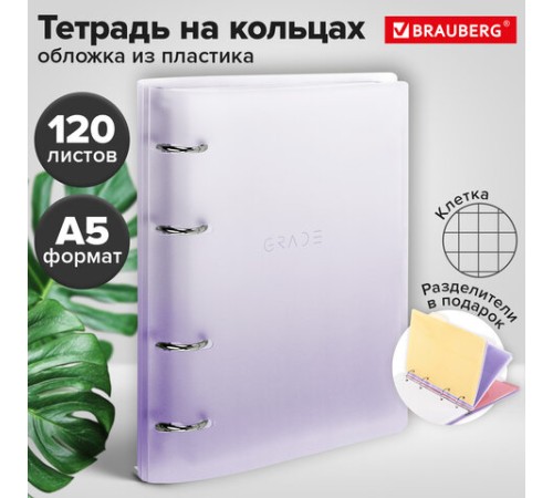 Тетрадь на кольцах А5 175х220 мм, 120 л., пластик, с разделителями, BRAUBERG, Фиолетовый, 404627