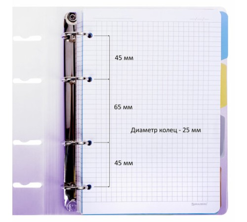 Тетрадь на кольцах А5 175х220 мм, 120 л., пластик, с разделителями, BRAUBERG, Фиолетовый, 404627