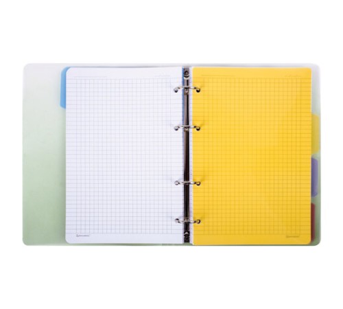 Тетрадь на кольцах А5 175х220 мм, 120 л., пластик, с разделителями, BRAUBERG, Зеленый, 404629