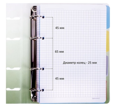 Тетрадь на кольцах А5 175х220 мм, 120 л., пластик, с разделителями, BRAUBERG, Зеленый, 404629