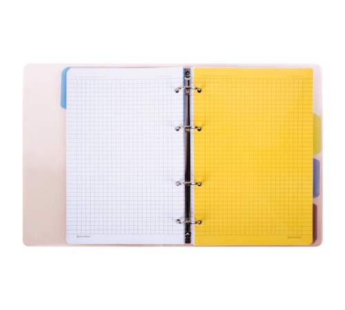 Тетрадь на кольцах А5 175х220 мм, 120 л., пластик, с разделителями, BRAUBERG, Красный, 404630