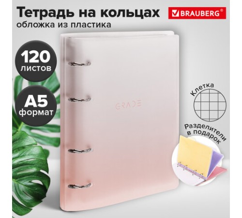 Тетрадь на кольцах А5 175х220 мм, 120 л., пластик, с разделителями, BRAUBERG, Красный, 404630