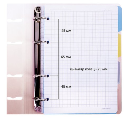 Тетрадь на кольцах А5 175х220 мм, 120 л., пластик, с разделителями, BRAUBERG, Красный, 404630