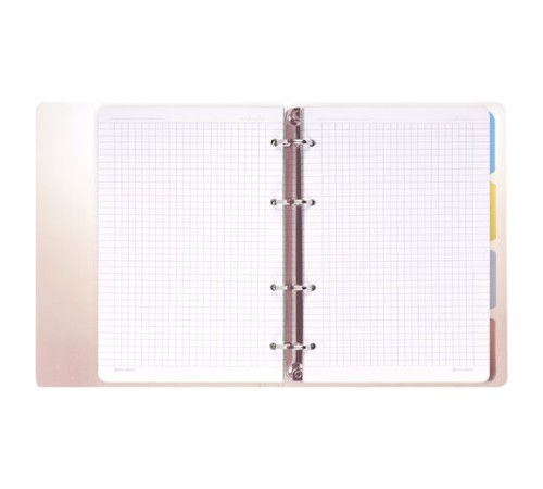 Тетрадь на кольцах А5 175х220 мм, 120 л., пластик, с разделителями, BRAUBERG, Красный, 404630