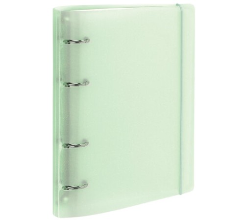 Тетрадь на кольцах А5 175х220 мм, 120 л., пластик с блестками, с резинкой и разделителями, BRAUBERG, Зеленый, 404632