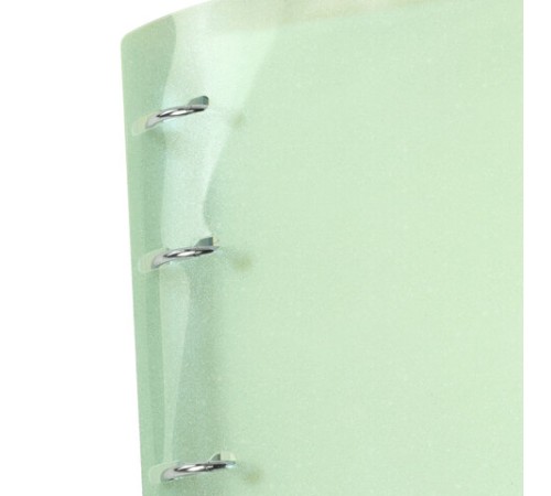 Тетрадь на кольцах А5 175х220 мм, 120 л., пластик с блестками, с резинкой и разделителями, BRAUBERG, Зеленый, 404632