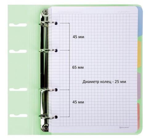 Тетрадь на кольцах А5 175х220 мм, 120 л., пластик с блестками, с резинкой и разделителями, BRAUBERG, Зеленый, 404632