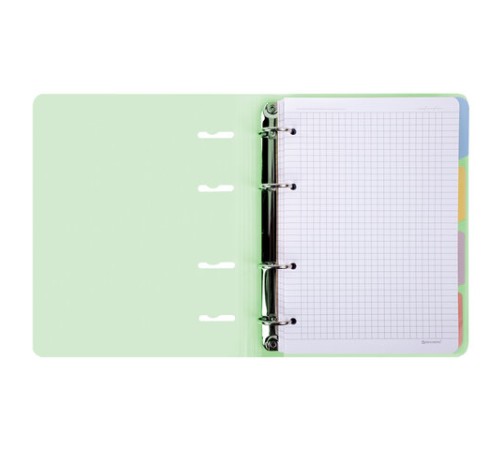 Тетрадь на кольцах А5 175х220 мм, 120 л., пластик с блестками, с резинкой и разделителями, BRAUBERG, Зеленый, 404632
