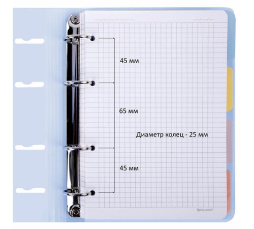 Тетрадь на кольцах А5 175х220 мм, 120 л., пластик с блестками, с резинкой и разделителями, BRAUBERG, Голубой, 404633