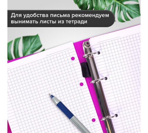 Тетрадь на кольцах А5 175х220 мм, 120 л., пластик, на липучке, с разделителями, BRAUBERG, Розовый, 404635