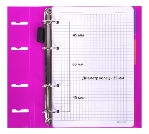 Тетрадь на кольцах А5 175х220 мм, 120 л., пластик, на липучке, с разделителями, BRAUBERG, Розовый, 404635
