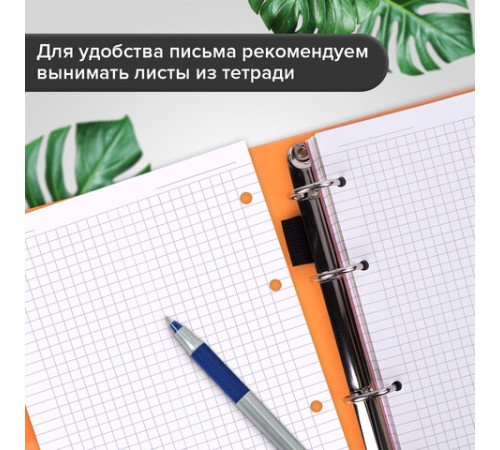 Тетрадь на кольцах А5 175х220 мм, 120 л., пластик, на липучке, с разделителями, BRAUBERG, Оранжевый, 404636
