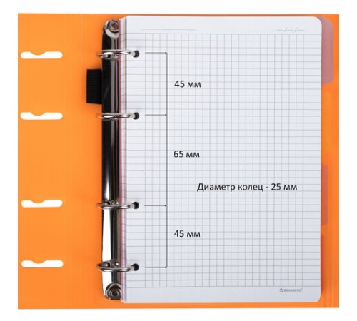 Тетрадь на кольцах А5 175х220 мм, 120 л., пластик, на липучке, с разделителями, BRAUBERG, Оранжевый, 404636