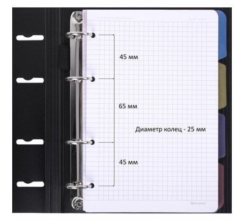 Тетрадь на кольцах А5 175х220 мм, 120 л., пластик, на липучке, с разделителями, BRAUBERG, Черный, 404637